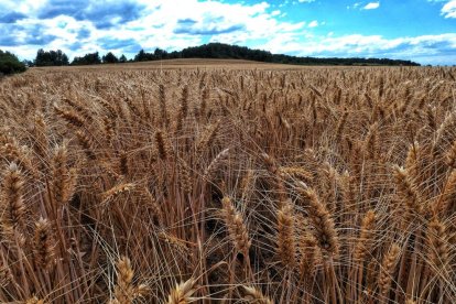 Envia'ns fotos relacionades amb l'estiu i guanya una estada a l'Hotel Estanys Blaus de Tavascan.