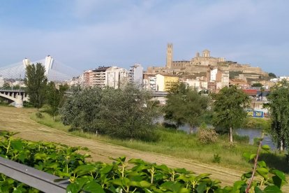 Arbres florits, camps verds i bon temps...ja és aquí la primavera!