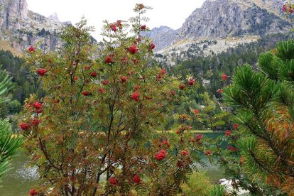 Maria Teresa Gayoso Gómez