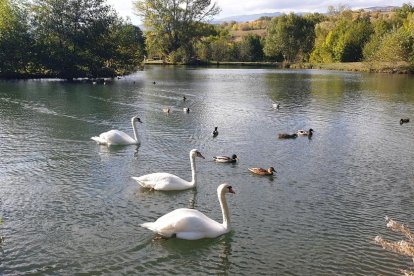 Maria Teresa Gayoso Gómez