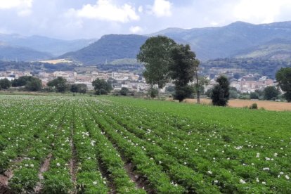 Envia'ns fotos relacionades amb l'estiu i guanya una estada a l'Hotel Estanys Blaus de Tavascan.