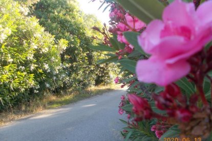 Envia'ns fotos relacionades amb l'estiu i guanya una estada a l'Hotel Estanys Blaus de Tavascan.