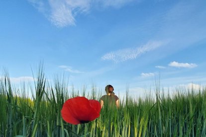 Sílvia Sisó Moreno