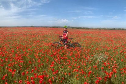Arbres florits, camps verds i bon temps...ja és aquí la primavera!
