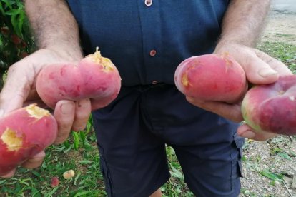 Envia'ns fotos relacionades amb l'estiu i guanya una estada a l'Hotel Estanys Blaus de Tavascan.