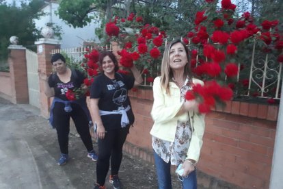 Arbres florits, camps verds i bon temps...ja és aquí la primavera!