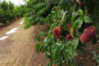 Envia'ns fotos relacionades amb l'estiu i guanya una estada a l'Hotel Estanys Blaus de Tavascan.