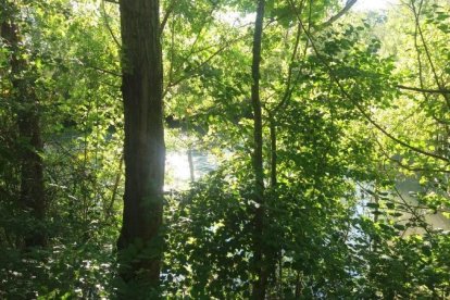 Envia'ns fotos relacionades amb l'estiu i guanya una estada a l'Hotel Estanys Blaus de Tavascan.