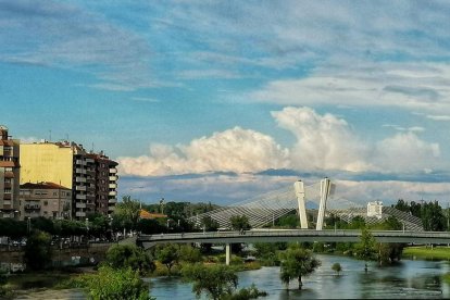 Arbres florits, camps verds i bon temps...ja és aquí la primavera!