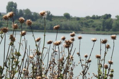 Envia'ns fotos relacionades amb l'estiu i guanya una estada a l'Hotel Estanys Blaus de Tavascan.