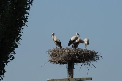 Envia'ns fotos relacionades amb l'estiu i guanya una estada a l'Hotel Estanys Blaus de Tavascan.