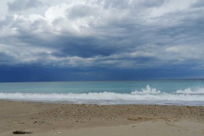 Arbres florits, camps verds i bon temps...ja és aquí la primavera!