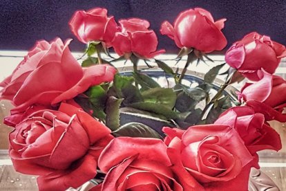 Maria Belen Serra Marin