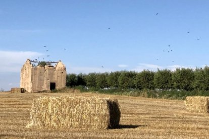 Envia'ns fotos relacionades amb l'estiu i guanya una estada a l'Hotel Estanys Blaus de Tavascan.