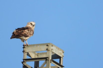 Envia'ns fotos relacionades amb l'estiu i guanya una estada a l'Hotel Estanys Blaus de Tavascan.