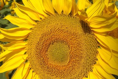 Envia'ns fotos relacionades amb l'estiu i guanya una estada a l'Hotel Estanys Blaus de Tavascan.