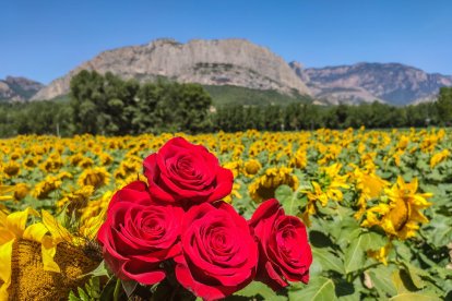 Envia'ns fotos relacionades amb l'estiu i guanya una estada a l'Hotel Estanys Blaus de Tavascan.