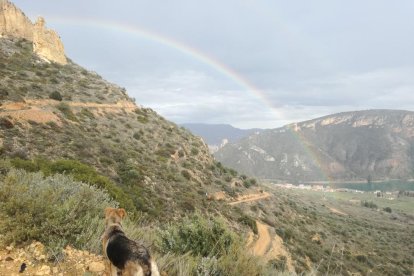 ERNESTO Rosello. Mola