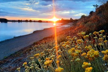 Arbres florits, camps verds i bon temps...ja és aquí la primavera!