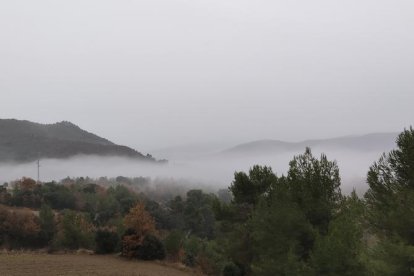 El fred, la boira i la neu... l'hivern ja és aquí!