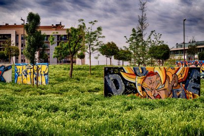 Sisco Acosta Andrés