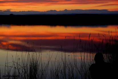 Arbres florits, camps verds i bon temps...ja és aquí a primavera!