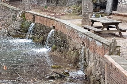 Arbres florits, camps verds i bon temps...ja és aquí a primavera!