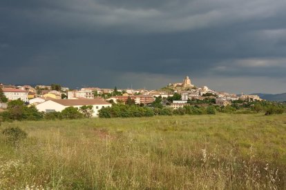 Arbres florits, camps verds i bon temps...ja és aquí la primavera!