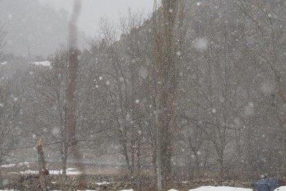 El fred, la boira i la neu... l'hivern ja és aquí!