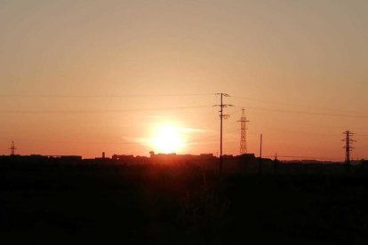 Arbres florits, camps verds i bon temps...ja és aquí la primavera!