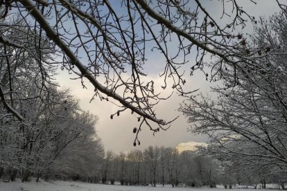 El fred, la boira i la neu... l'hivern ja és aquí!