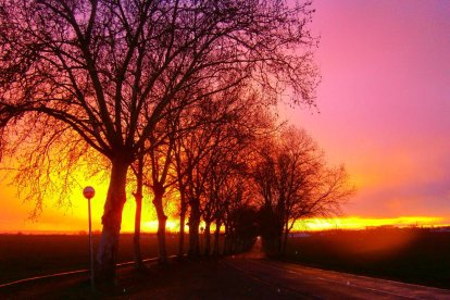 Arbres florits, camps verds i bon temps...ja és aquí a primavera!