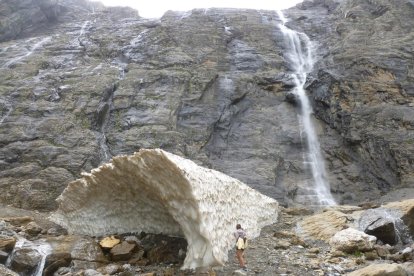 JOSEP MASIP ARDÉVOL