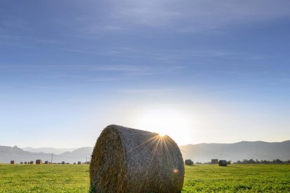 Envia'ns fotos relacionades amb l'estiu i guanya una estada a l'Hotel Estanys Blaus de Tavascan.
