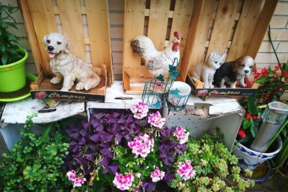 Arbres florits, camps verds i bon temps...ja és aquí la primavera!