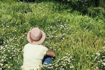 Arbres florits, camps verds i bon temps...ja és aquí la primavera!