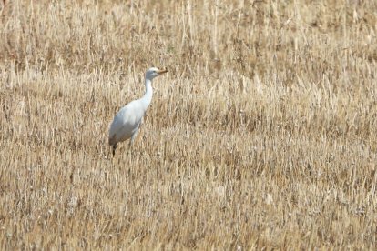 Envia'ns fotos relacionades amb l'estiu i guanya una estada a l'Hotel Estanys Blaus de Tavascan.