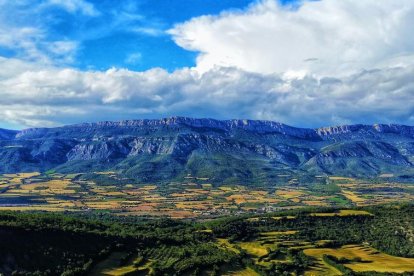 Arbres florits, camps verds i bon temps...ja és aquí la primavera!