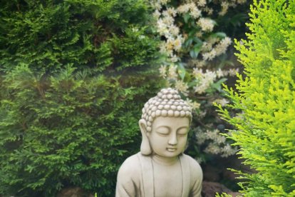 Esther Piñol montoy