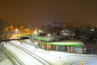 El fred, la boira i la neu... l'hivern ja és aquí!