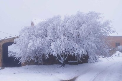 El fred, la boira i la neu... l'hivern ja és aquí!