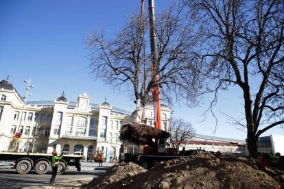 Magdalena Altisent i Òscar Mirón