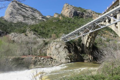 Arbres florits, camps verds i bon temps...ja és aquí a primavera!