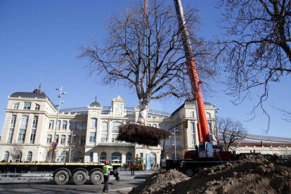 Magdalena Altisent i Òscar Mirón