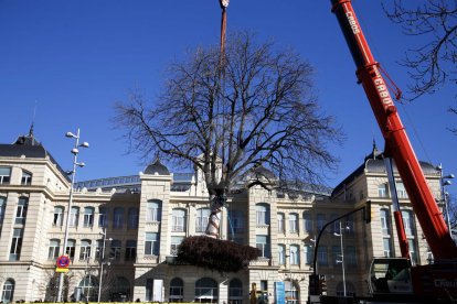 Magdalena Altisent i Òscar Mirón