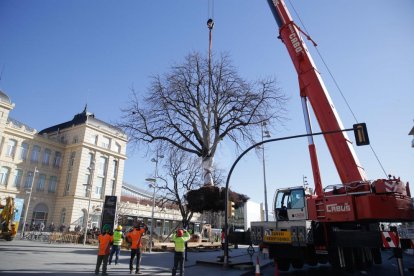 Magdalena Altisent i Òscar Mirón