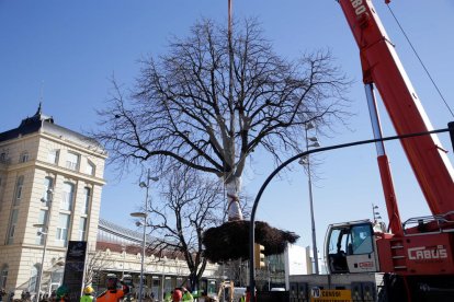 Magdalena Altisent i Òscar Mirón