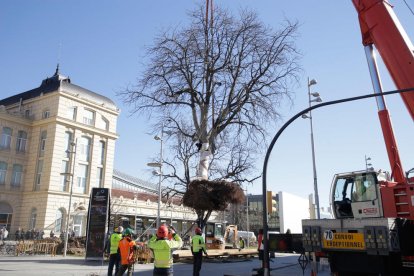 Magdalena Altisent i Òscar Mirón