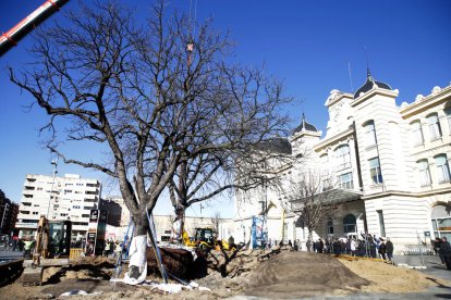 Magdalena Altisent i Òscar Mirón