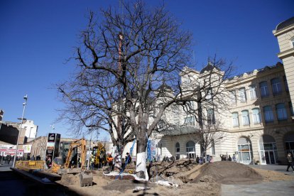 Magdalena Altisent i Òscar Mirón